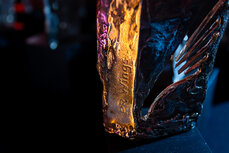 gala_pr_wings_2025-11-jpg