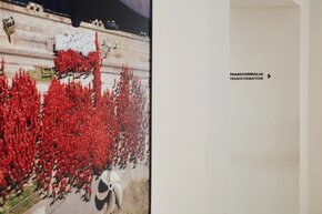 Fot_ Kacper-Trzmiel (2).jpg