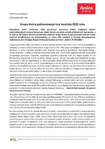 Amica wyniki Q3 2025