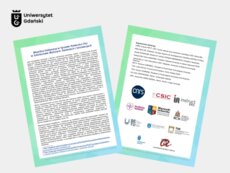 deklaracja-ws_-rownosci-plci-zdjecie-do-tekstu-png