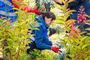 Projekt Szkolnych Parków Kieszonkowych.jpg