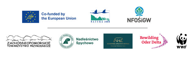 LIFE-RYS belka-logosy