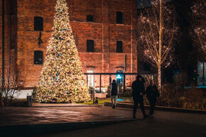 PGF_PGF7106_Patryk Grądys_2048.jpg