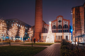 PGF_PGF7542_Patryk Grądys_2048.jpg