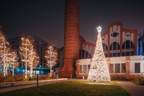 PGF_PGF7546_Patryk Grądys_2048.jpg