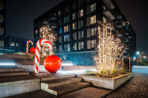 PGF_PGF7551_Patryk Grądys_2048.jpg