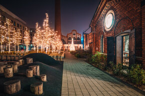 PGF_PGF7562_Patryk Grądys_2048.jpg