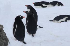 WhatsApp Image 2025-12-14 at 19_38_09.jpeg