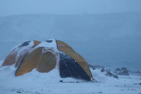 WhatsApp Image 2025-12-14 at 02_50_07_0.jpeg