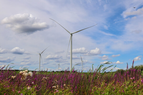 #TransformacjaEnei – intensywny rok realizacji strategii w Grupie Enea (3)