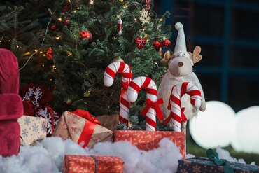 Prawie tysiąc paczek wolontariuszy ERGO Hestii 