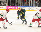 TAURON Puchar Polski