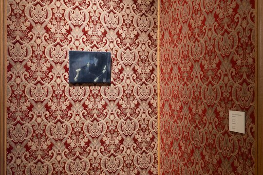 Fragment wystawy_Łukasz Stokłosa. Lśnienie_Zamek Królewski w Warszawie_fot.14