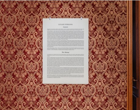 Fragment wystawy_Łukasz Stokłosa. Lśnienie_Zamek Królewski w Warszawie_fot.16