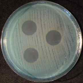 3 PA_Ag+PL formuła S.JPG