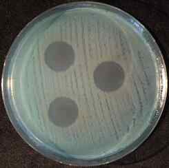 3 PA Ag+PL formuła S