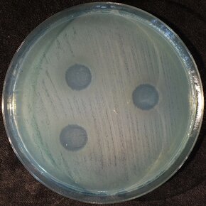 1 PA_Ag formuła.JPG