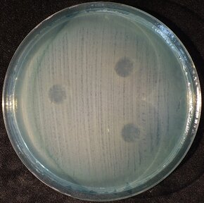 2 Pa_PL formuła.JPG