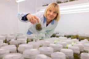 zdjęcie aleksKrolicka z labu.jpg