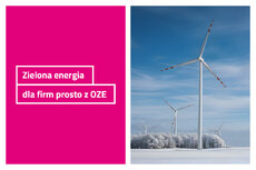 tauron_grafika-3-jpg