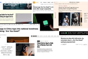 Are You Dead - publikacje