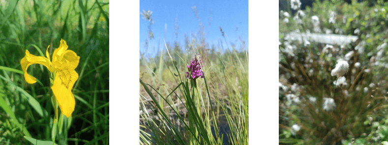 Projekt bez nazwy (27)