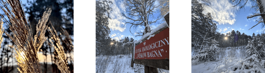 Projekt bez nazwy (28)