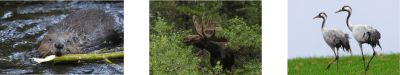 Projekt bez nazwy (29)