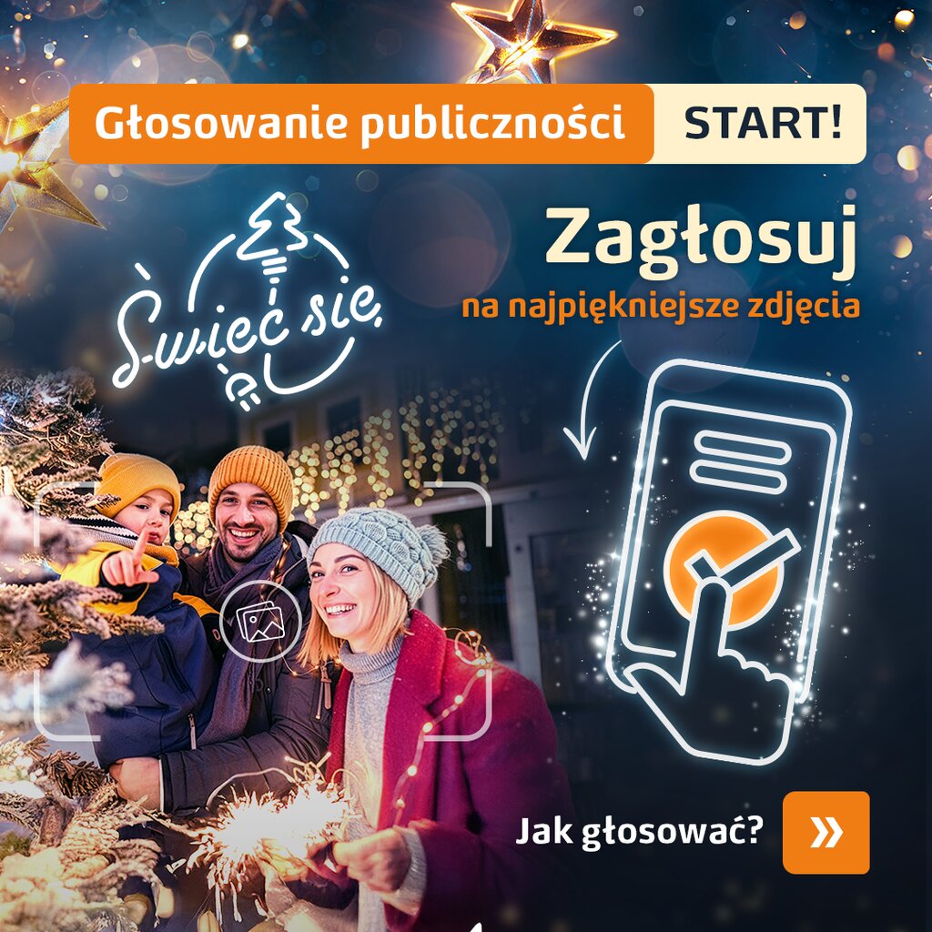 Instrukcja głosowanie #1