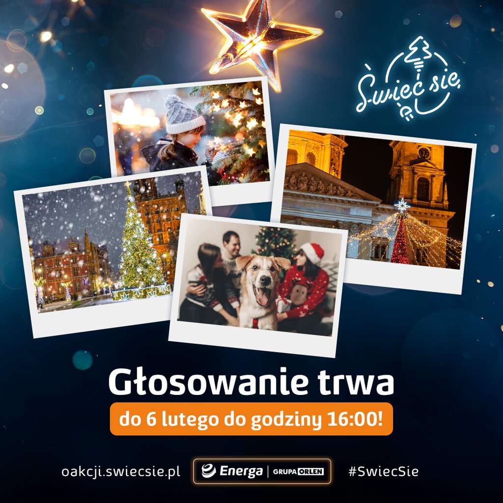 Instrukcja głosowanie #4