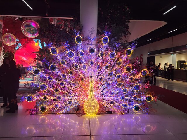 Całoroczna dekoracja typu Paw