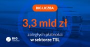 Grafika _BIG Liczba TSL