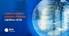 grafika-big_indeks-zaleglych-platnosci-png