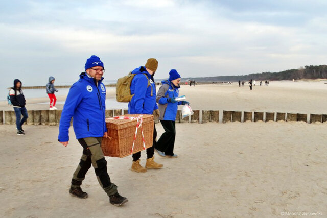 Kosz-na-fokę fot M Jasłowski