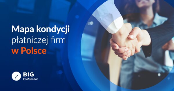 Grafika BIG_długi firm w regionach