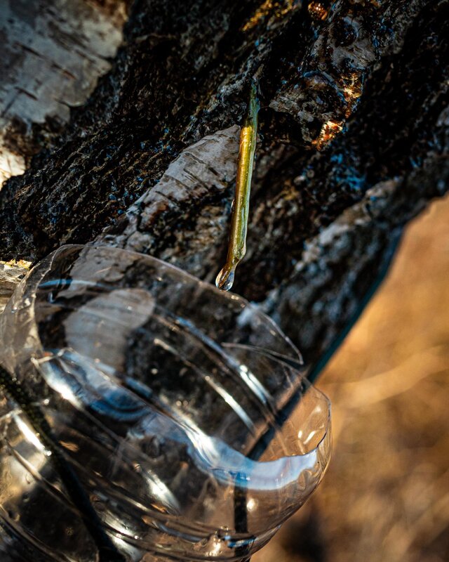 2026-03-16 at 15 58 10 (1)