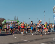 TAURON Park Śląski