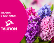 Wiosna z TAURONEM
