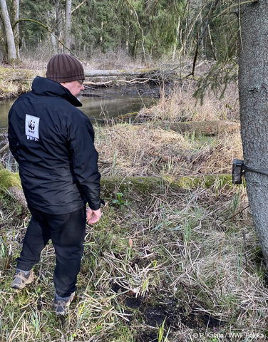 Wspolpraca-z-parkami-narodowymi zdjecie1-IP