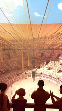 story-colisee-1-png