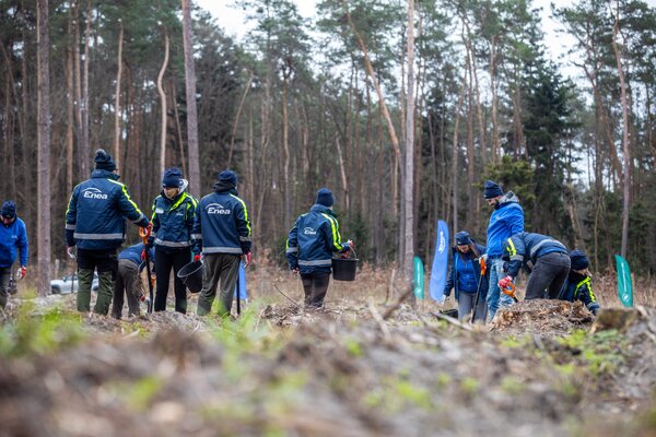 Enea Połaniec - "Sadzimy kolejne pokolenie lasu" (4)