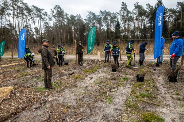 Enea Połaniec - "Sadzimy kolejne pokolenie lasu" (3)