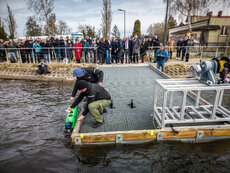 20260414_pirania2048pix-65-jpg