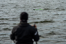 20260414_pirania2048pix-81-jpg