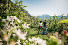 bp_498464_c_benjamin_pfitscher-jpg