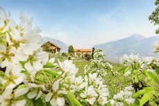 51fruehl2016_r2a9829ew33_8_uberarbeitet-jpg