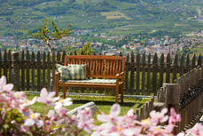 125fruehl16_mg_1400x008_8-jpg