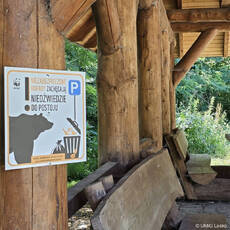 kampania-niedzwiedzia_ip-zdjecie-1-jpg