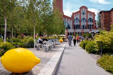 pgf_patryk-gradys_2048-2-4-jpg