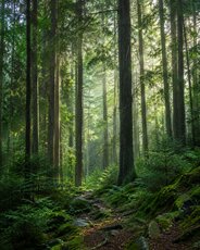 las_sggw-png